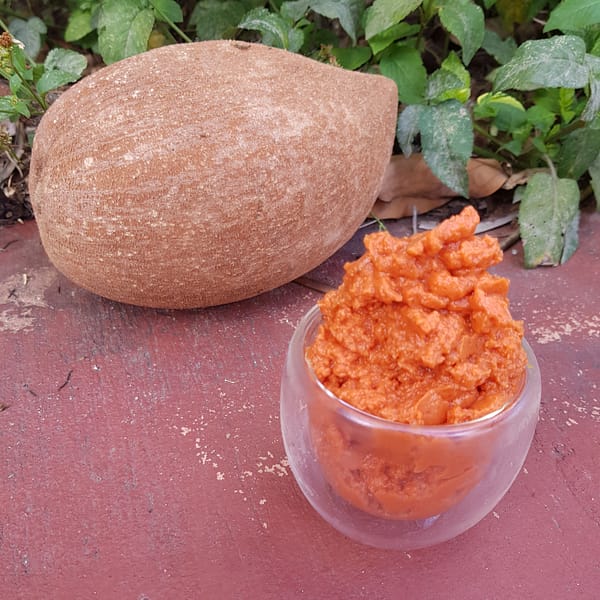 Mamey Sapote Nice Cream